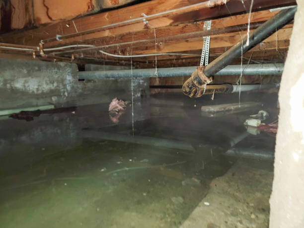 Best Water damage contractors near me  in Terrebonne, OR