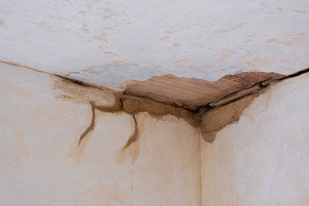 Carpet water damage restoration in Terrebonne, OR