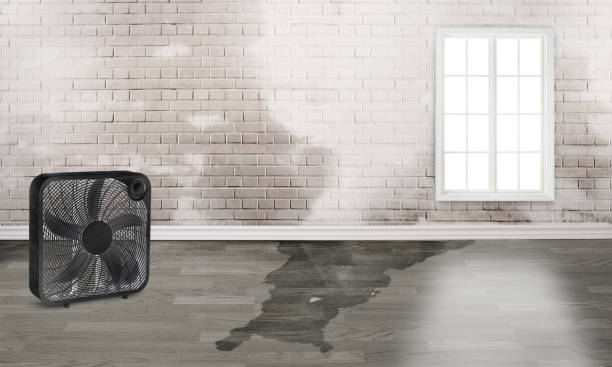 Local water damage restoration in Terrebonne, OR