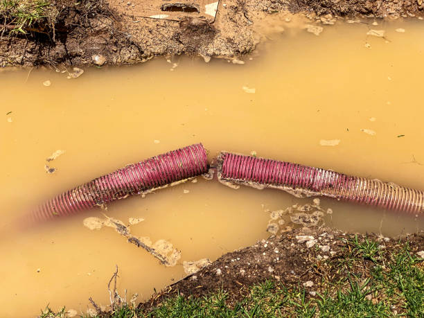 Best Water damage restoration near me  in Terrebonne, OR